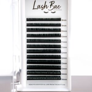 0.05 Volume Lashes (Single Trays)